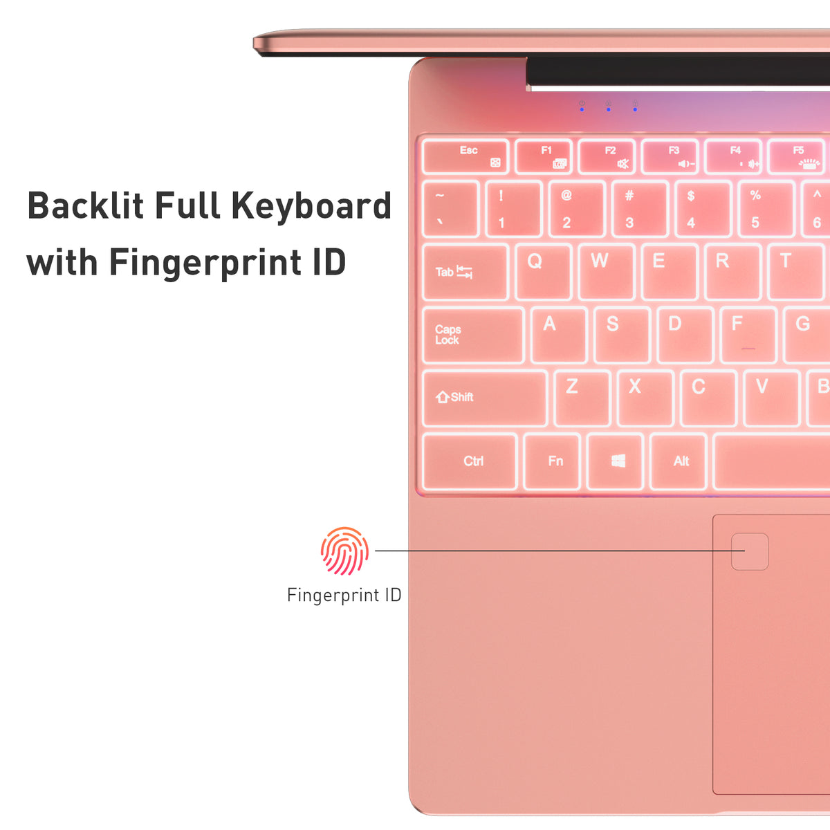 auusda Laptop Computer, 15.6 Inch, 32GB RAM, 1TB SSD NVMe, Rosy