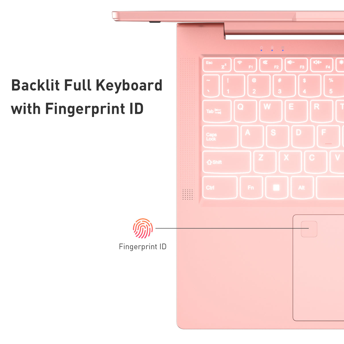 Auusda Laptop Computer, 14.1 Inch, 8GB RAM, 256GB SSD NVMe, Pink